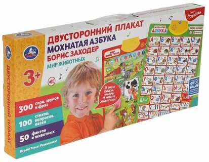 Более 300 словами