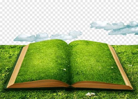 Книга природы картинка