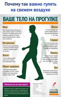 Польза телу