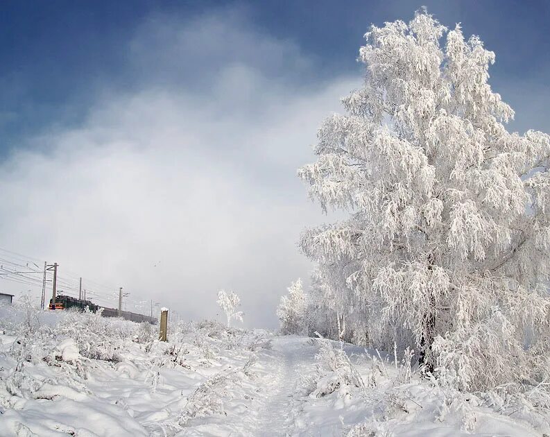 Буран снег. Красивый Буран снежный. Настоящая зима фото. Природа зимняя Буран. Снегу было мало снежных буранов то же