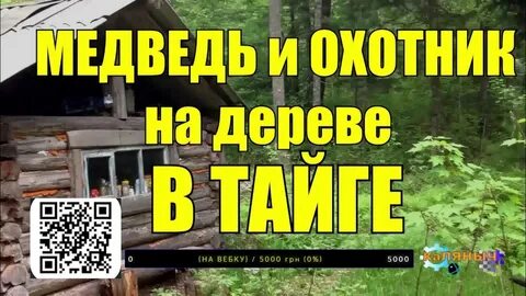 Рассказы про тайгу и охотников слушать