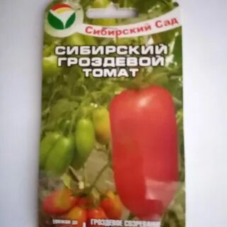 Описание томата гроздевой