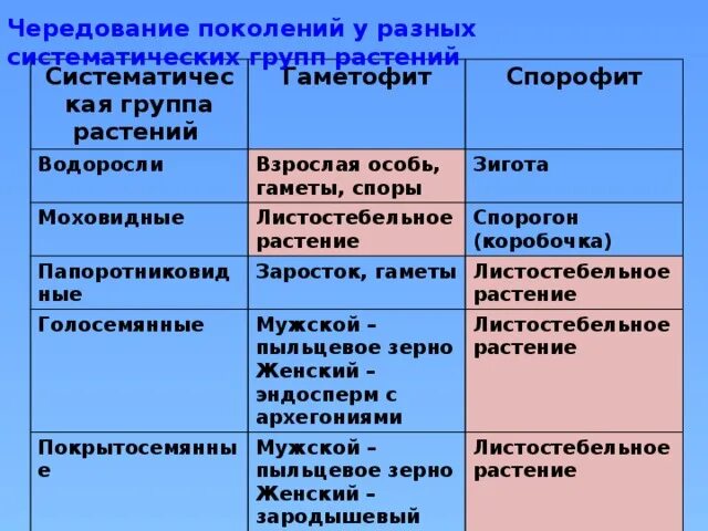 Преобладающее поколение у водорослей. Гаметофит и спорофит у растений таблица. Преобладание спорофита и гаметофита у растений таблица. Гаметофит водорослей. Гаметофит спорофит таблица.