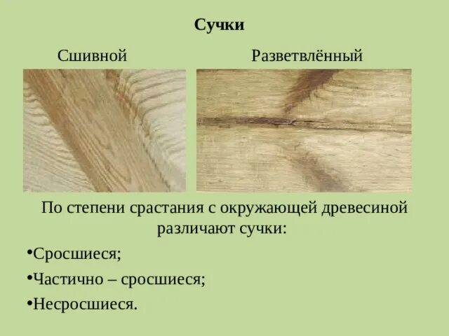 Презентация к уроку технологии в 5 классе