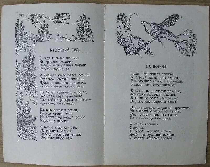 Маршак лес стих. Лес многоэтажный дом. Гроза маршак стих. Маршак в лесу над росистой поляной. Маршак лесная поляна.