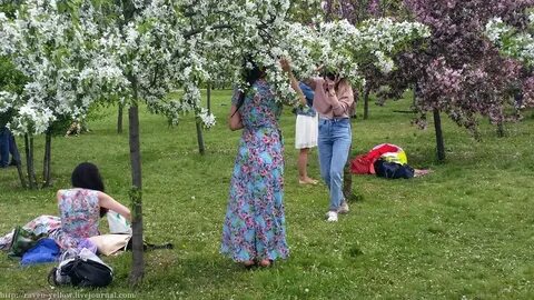 Сады артистов