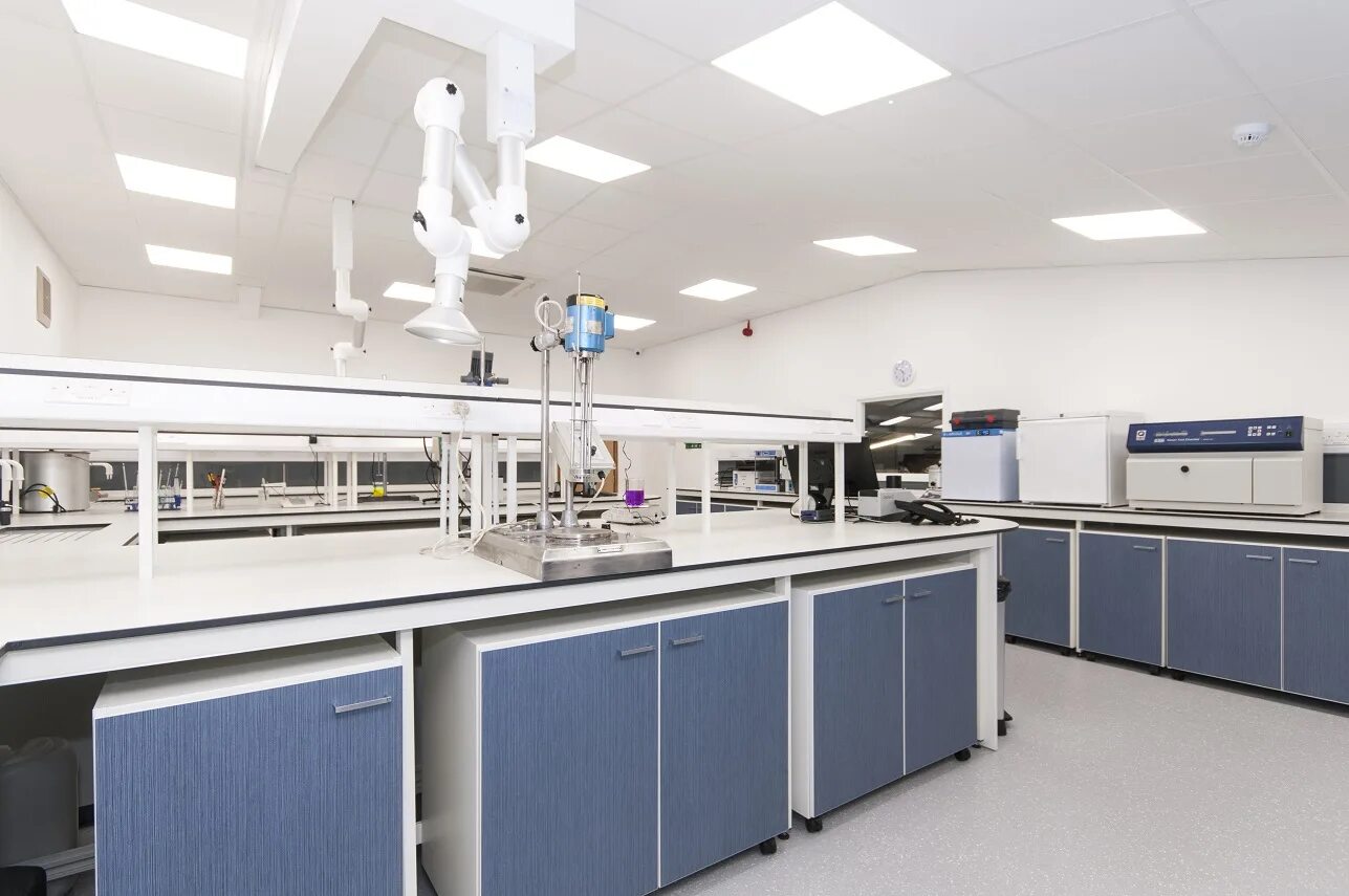 Labs bma