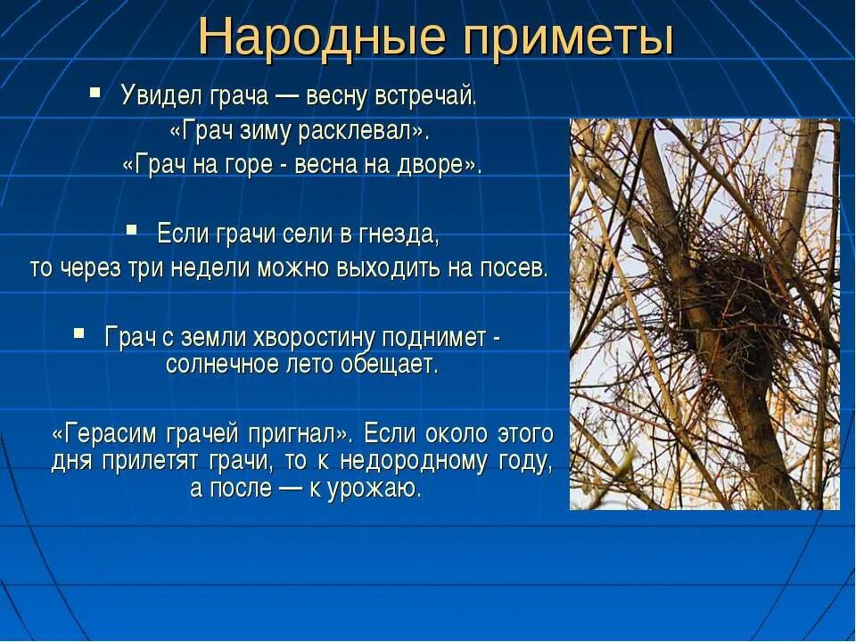 Народные приметы. Приметы весны. Народные приметы о весне. Народные приметы про птиц.