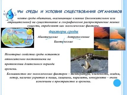 Условия существования организмов