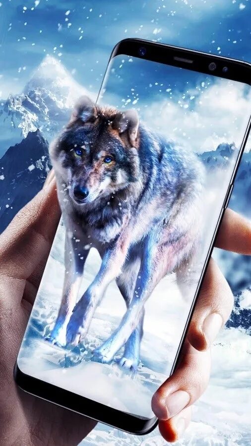 Тема волк. Заставки на телефон красивые. Волк для экран телеыоннн. Красивые заставки на экран смартфона волки.