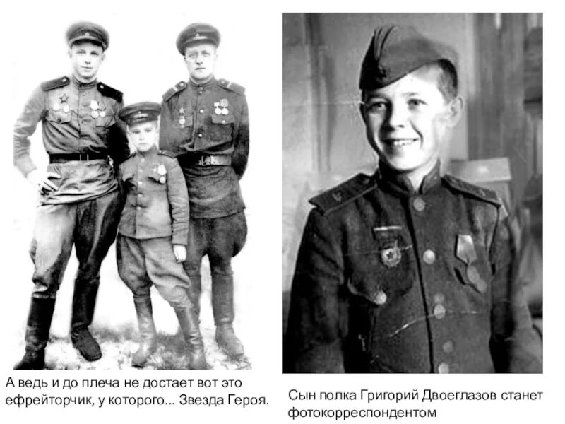 Сыновья полков картинки