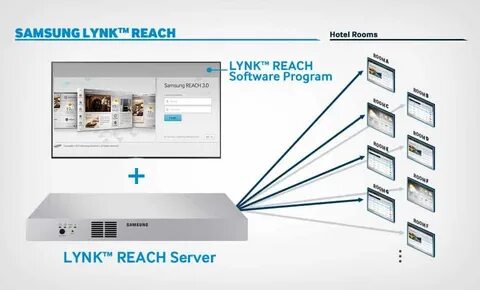 Reach server
