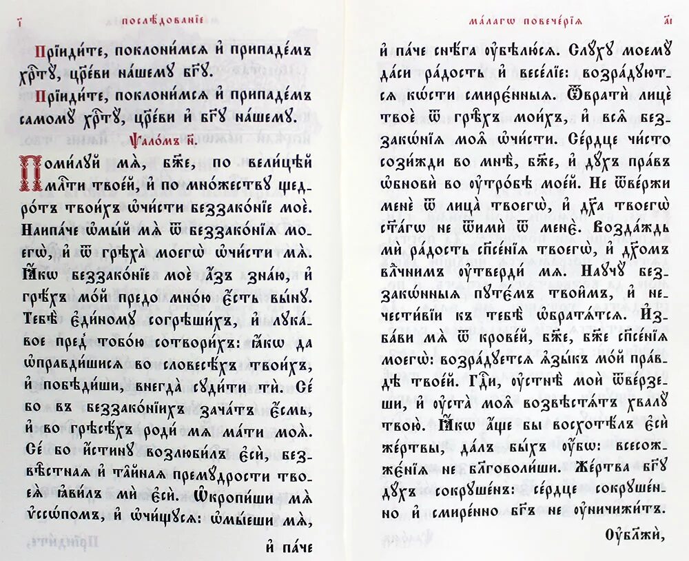 Псалмы 26.50 90 читать и богородице дево