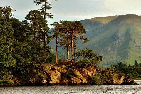 Река белая сосна