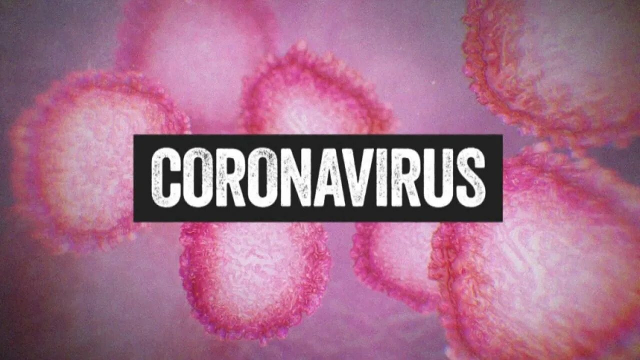 Раз и навсегда virus