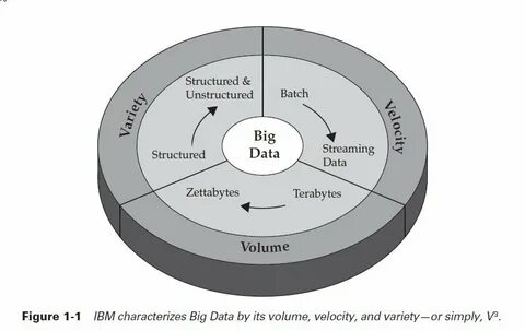 Variety в контексте характеристик big data означает