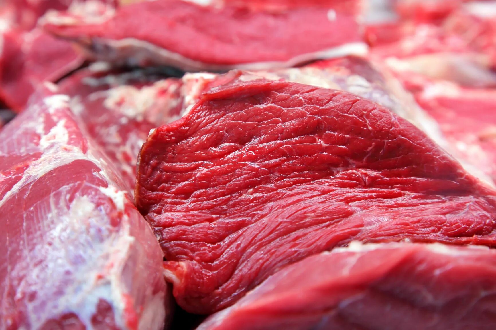 Красное мясо животных. Мясо говядина. Свежее мясо. Свежее мясо говядина. Говядина красное мясо.