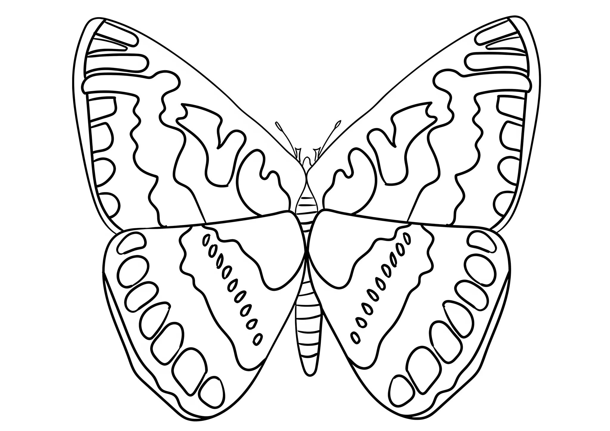 Раскраска на 6 листов. Раскраска "бабочки". Бабочка раскраска для детей. Бабочка раскраска для малышей. Рисунок бабочки для раскрашивания.