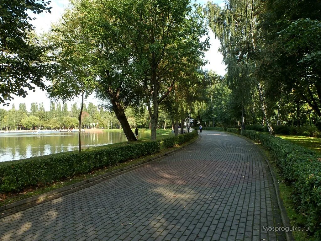 измайловский парк москва летом. измайловский парк москва. парк измайлово. измайловский парк отзывы. измайловский парк москва.