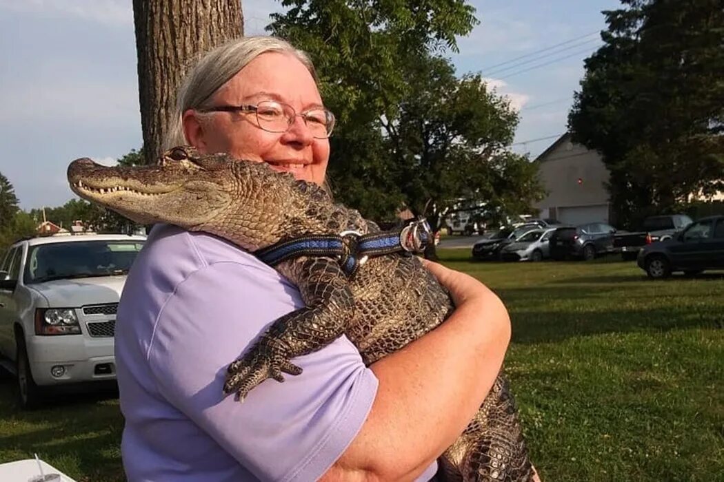 Хищный человек. Predator (игра, 2010). Хищный человек. Лицо наполовину животное. Aliens vs predator 2010 морпех.