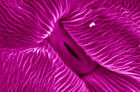 Pink hole