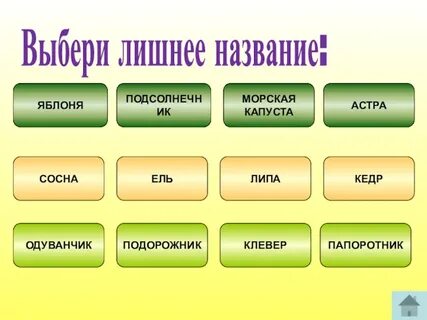 Лишнее название языка