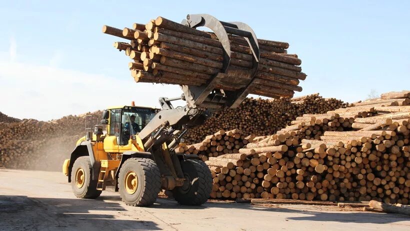 архангельск лесопромышленный комплекс. архангельск лесопромышленный комплекс. архангельский лесопромышленный комплекс. архангельск лесопромышленный комплекс. лесопромышленный комплекс архангельск.