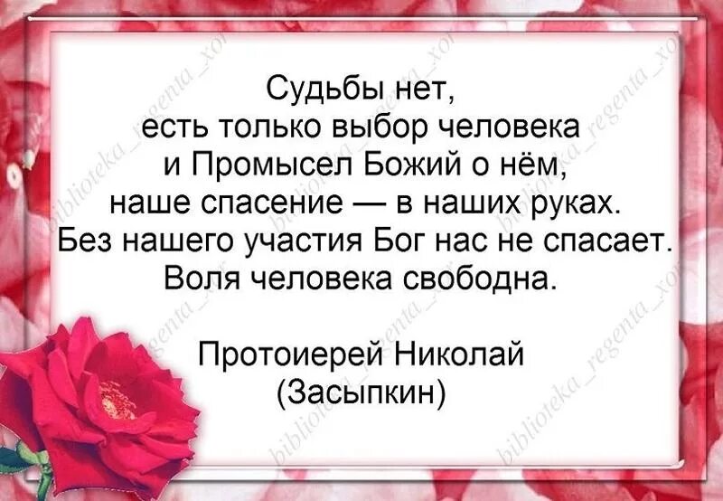 Судьба бывших жен людей. Промысел Божий. Промысел Божий в жизни человека. Судьбы нет есть только промысел Божий. Нет случайностей есть Божий промысел.