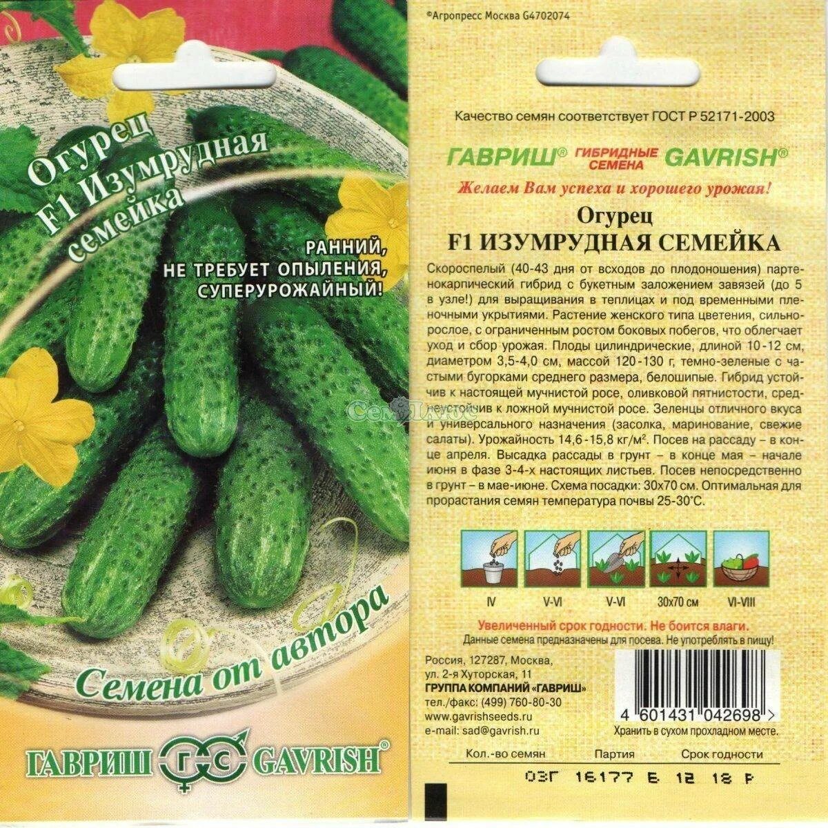 Огурцы сорт изумрудные сережки отзывы. Огурец изумрудная семейка 1+1 гавриш. огурец изумрудные сережки гавриш. огурцы сорт изумрудная семейка. огурец изумрудная семейка гавриш.