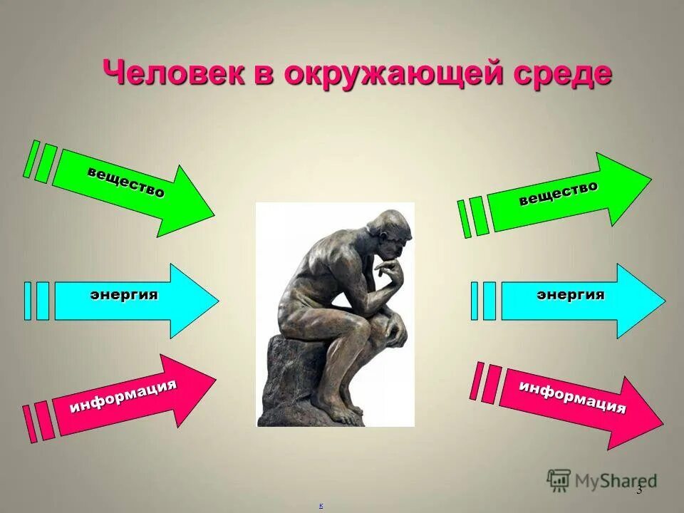 Защищита окружающей среды. Окружающая среда обитания это. Экология человека примеры. Окружающая человека среда и её компоненты экология. Модель человек окружающая среда.