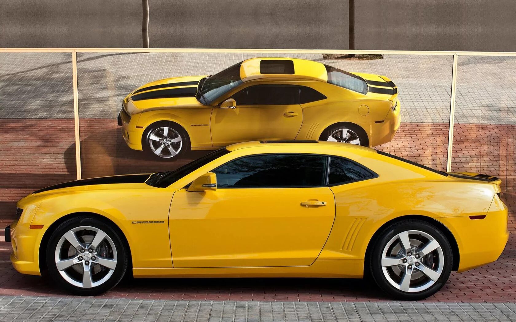 Шевроле камаро 6. Шевроле камаро пятого поколения. Bmw m3 e92 coupe. Правая и левая сторона автомобиля. Мужчина за рулем.