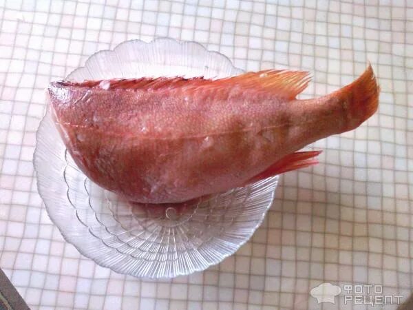 под кожей морского окуня