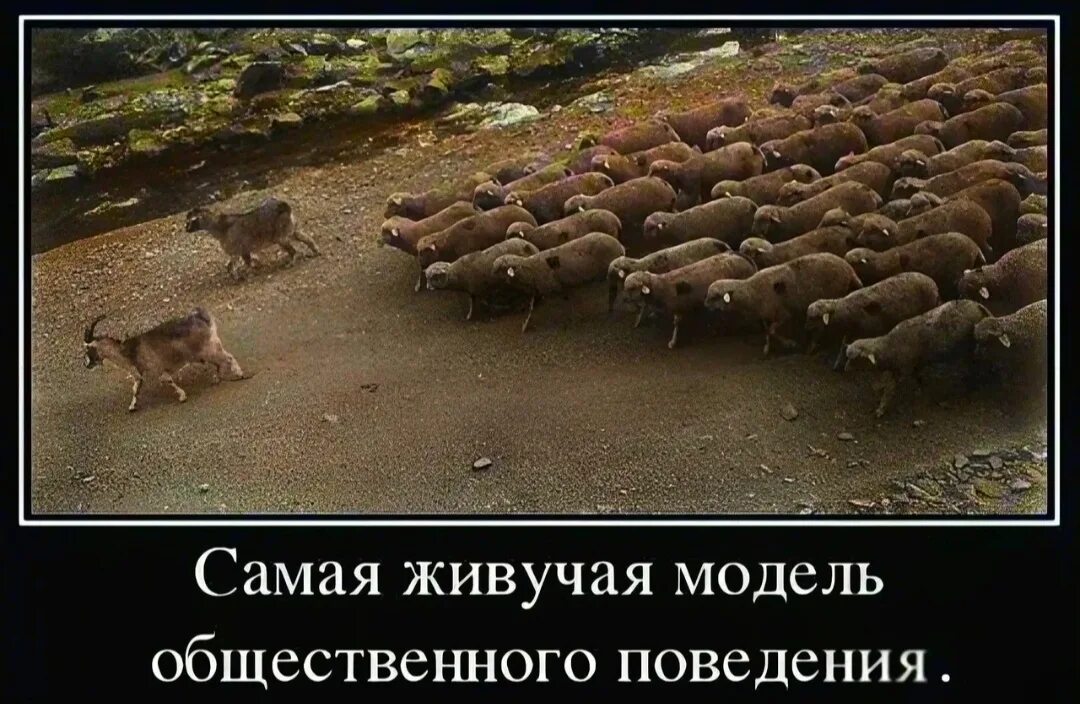 Выражение стабильность