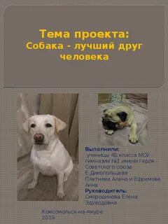 Собаки лучшие друзья мини сочинение