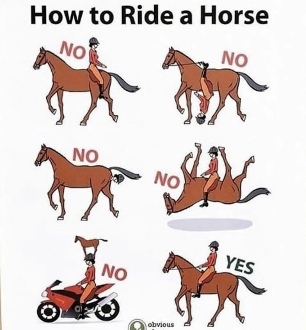 I can like a horse перевод