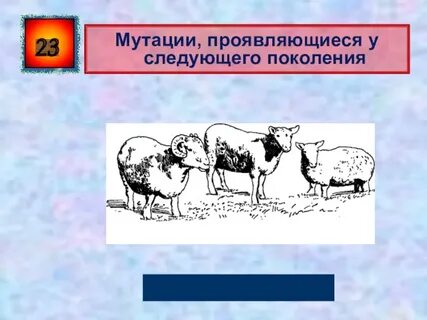 Генетика и селекция контрольная работа