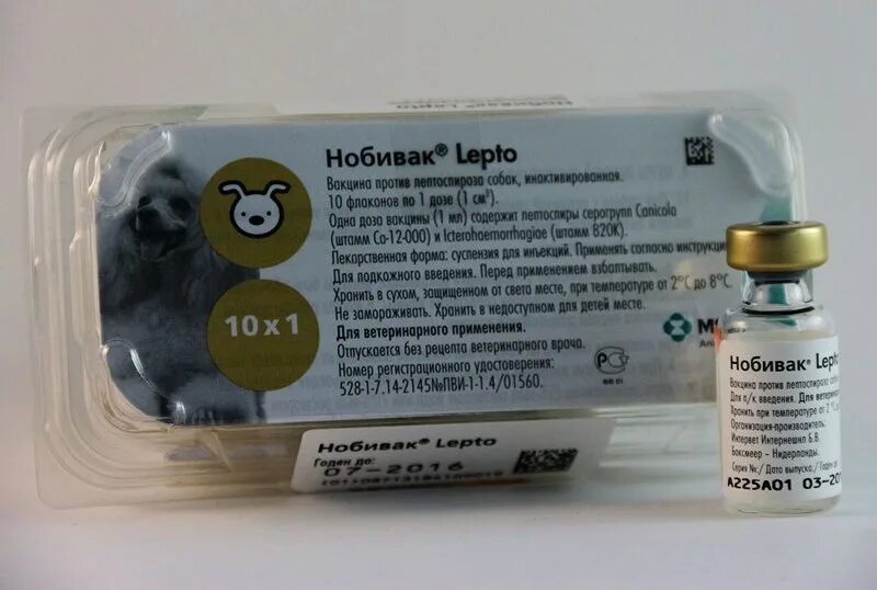 Вакцина лептоспироз инструкция. Нобивак DHPPI l4. Нобивак рабиес для собак. Вакцина Нобивак Lepto. Нобивак Lepto для собак.