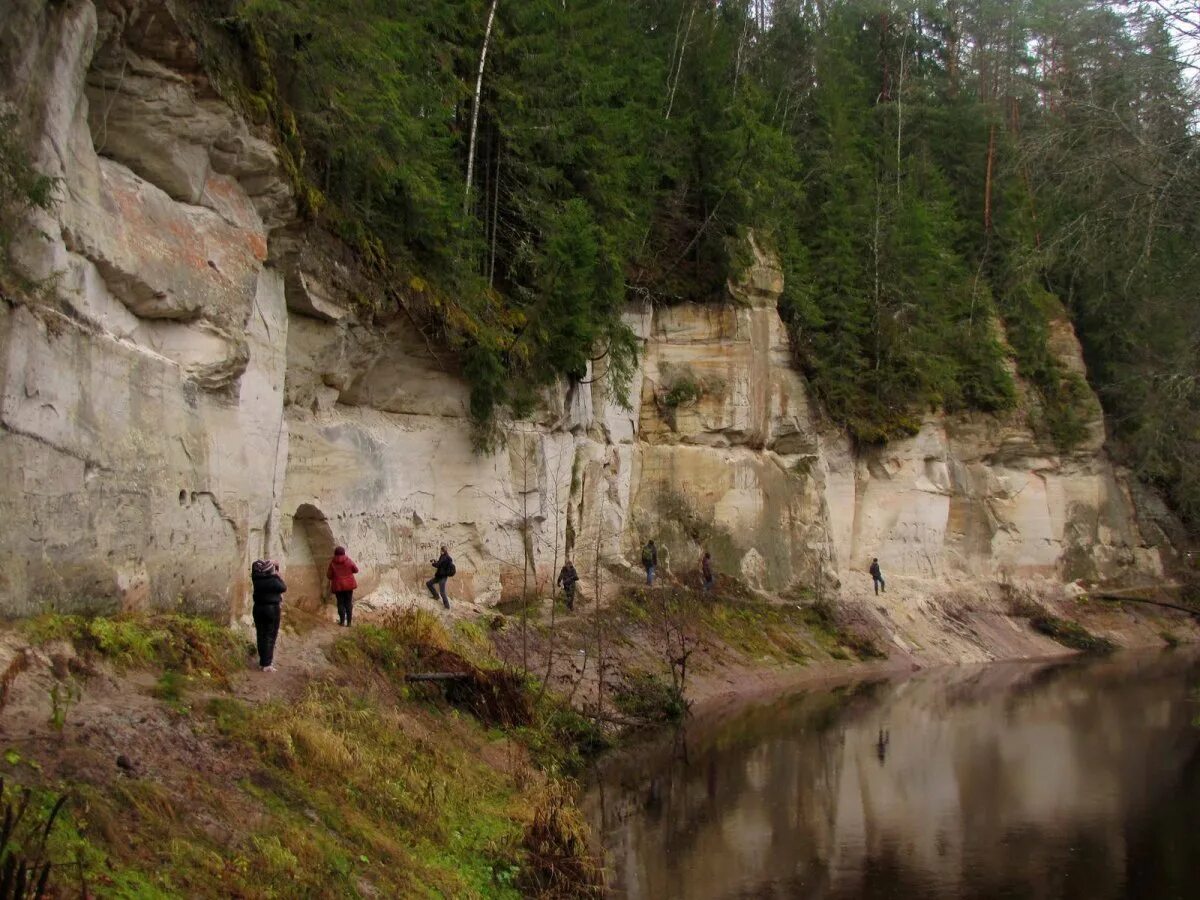 Вид с квадрокоптера на каньон реки Ящера, Ленинградская область - Фото № 1387405