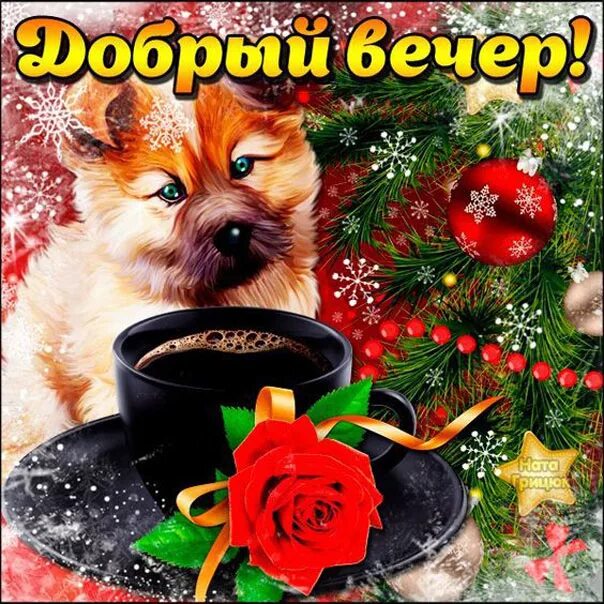 Вечера доброго зимнего и хорошего настроения прикольные. Открытки добрый вечер. открытки с добрым вечером зимние. доброго зимнего вечера. пожелания доброго зимнего вечера.