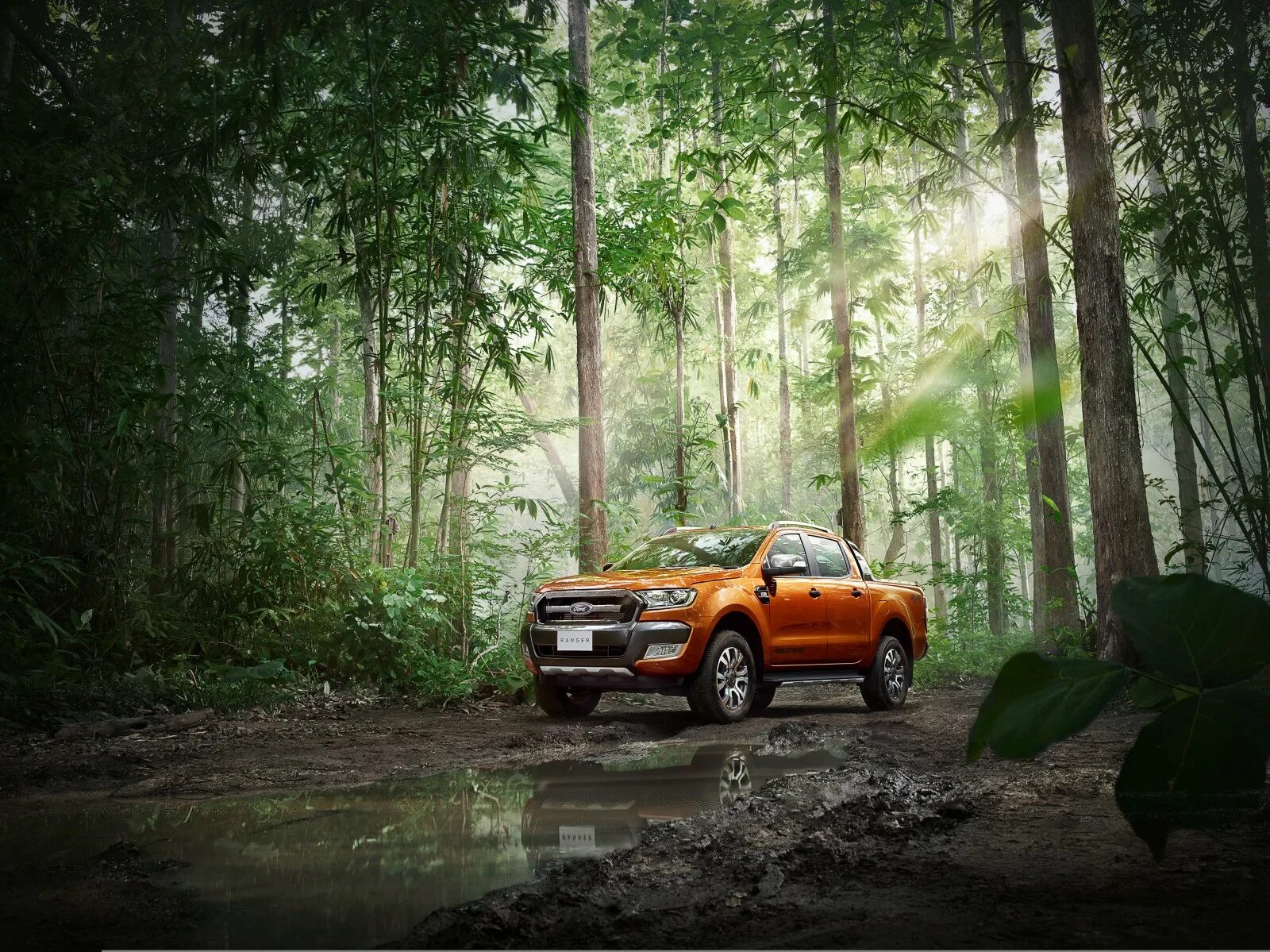 Forest side. Форд рангер бездорожье. ford ranger pickup 2006 в лесу. ford explorer forest ranger. ford ranger 2015 side view.