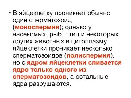Полиспермия