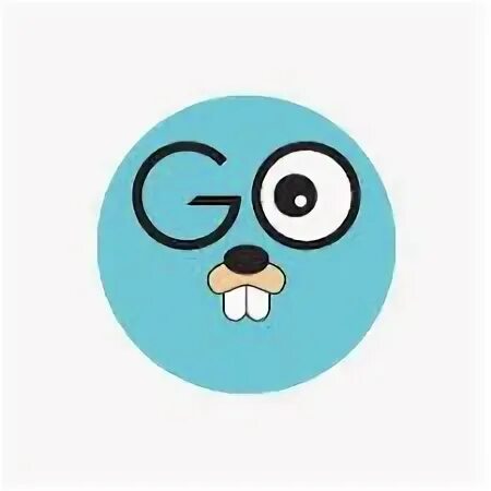 Go language guide