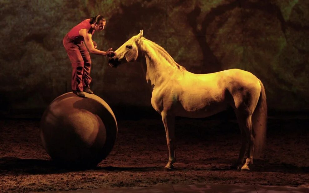 Сколько лошадей у человека. Лошади в цирке. Лошадки в цирке. Цирк с конями. Мир лошадей.