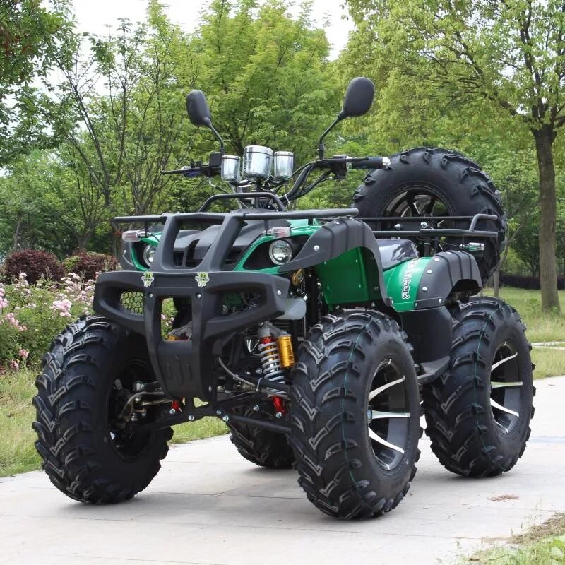 Квадроциклы двухместные взрослые недорого. Atv 110cc квадроцикл снегоболотоход. Квадроцикл Promax Leo 300 Max. Квадроцикл Apache 300. Промакс АТВ 250.