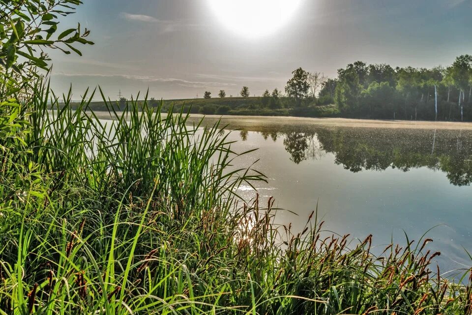 Озеро зелененькое самара. Снт газовик самара аглос. Аглос самара на карте. Агролесомелиоративная опытная станция. Поместье самара аглос.