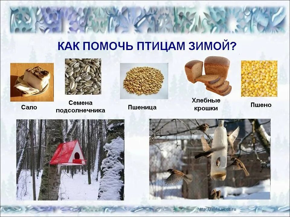 Как спасти животных зимой. Как помочь животным зимой. как помочь животным зимой 2 класс. как помочь птицам в зимнее время. статья как помочь животным в зимнее время.