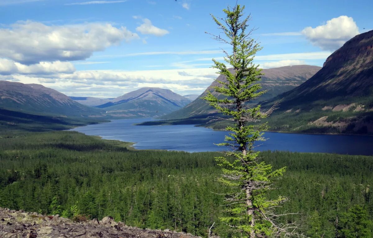 Плато Путорана Норильск. Красоты плато Путорана. Путорана лама. Экспедиция на плато Путорана.