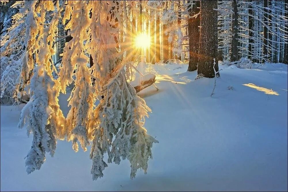 Короткий день солнцестояния. Зимнее солнцестояние. День зимнего солнцеворота. Зимнее солнцестояние зимний Солнцеворот. Зимнее солнцестояние фото.