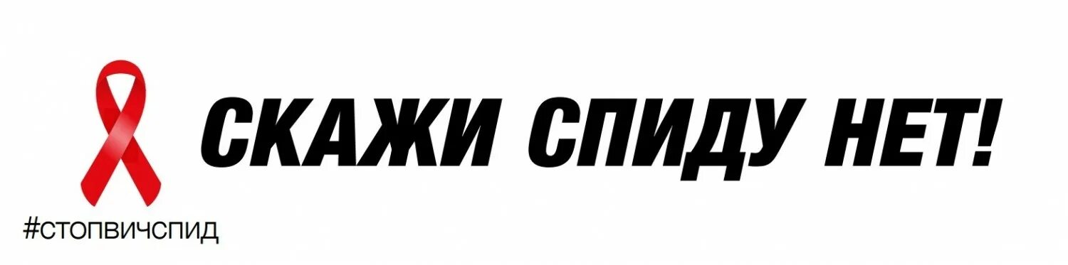 Спиде net