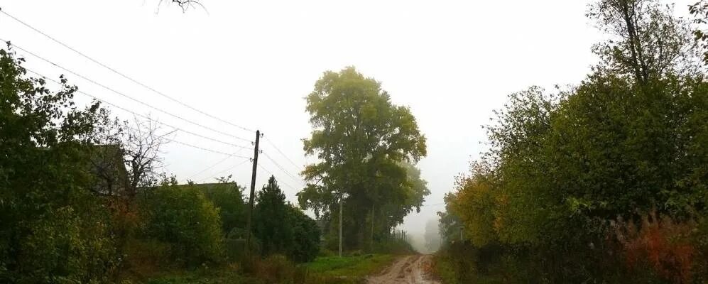 Погода архангельское удмуртия красногорский. Погода архангельское удмуртия красногорский. Красногорское фото. Село красногорское удмуртия. Церковь курья алтайский край.